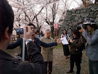 Cherry Blossom Viewing2