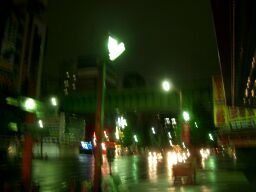 ������������ι�Ͷ�