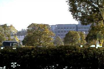 ���_�Ǝ������E�Ɉړ������Ƃ��̉摜