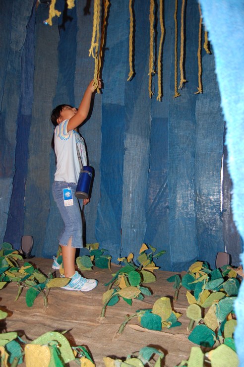 Planet of Grassland�̑f��