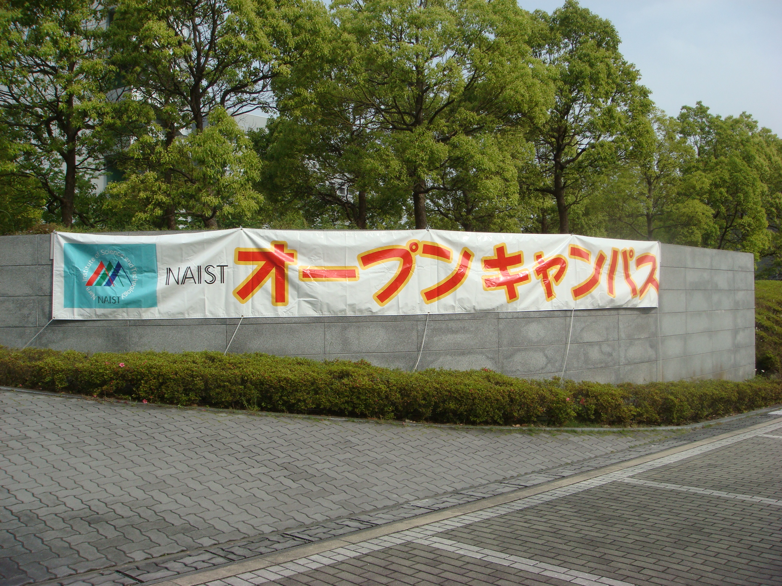 �f���̈��