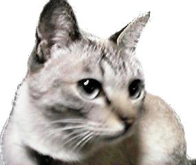 
	�ߤ�����