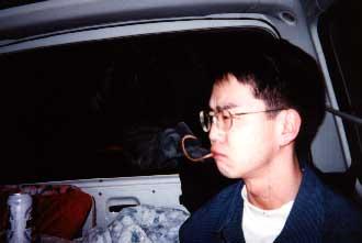 seko'pic