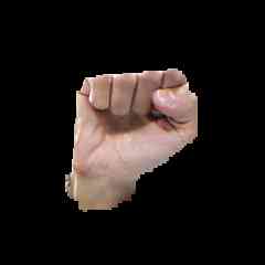 Fist