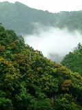 010522totsukawa_008s