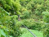 010522totsukawa_015s