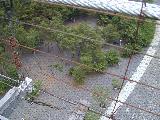 010522totsukawa_054s