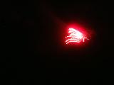 010822summertrip-1_030s