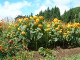 010822summertrip-2_038s