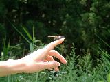 010822summertrip-2_052s