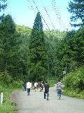 010822summertrip-2_058s