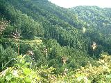 010822summertrip-2_062s