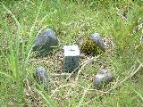 010822summertrip-2_066s