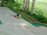 010822summertrip-2_075s