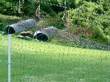 010822summertrip-2_077s