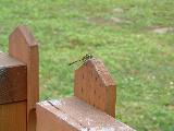 010822summertrip-2_079s