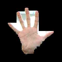 Hand