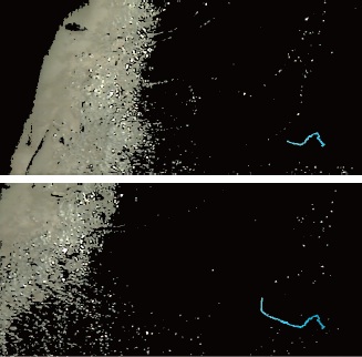 泳者周辺に発生する気泡の3次元位置計測