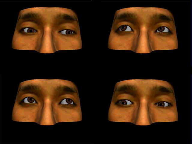 Eye Movement Generation Using Muscle Model